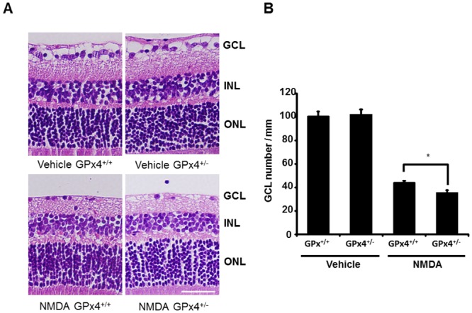 Fig 10