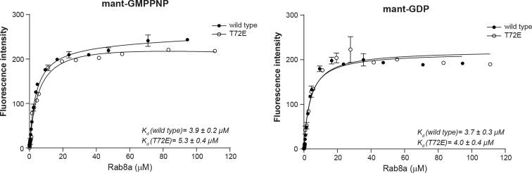 Figure 5—figure supplement 1.