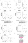 Figure 3—figure supplement 2.