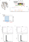 Figure 2—figure supplement 1.