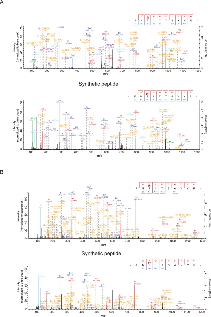 Figure 3—figure supplement 1.