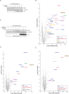 Figure 3—figure supplement 3.