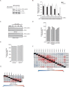 Figure 1—figure supplement 1.