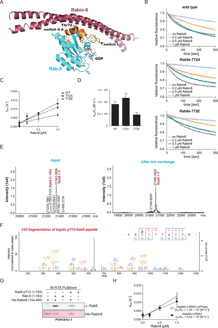 Figure 5—figure supplement 2.