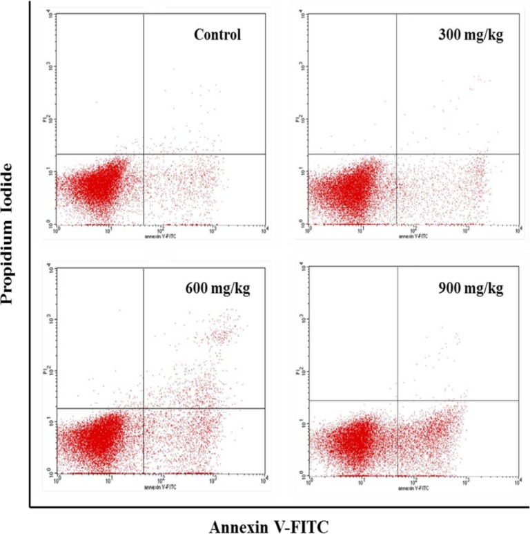 Figure 13