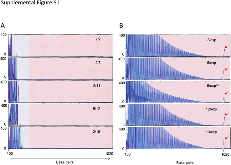 Supplemental Figure S1