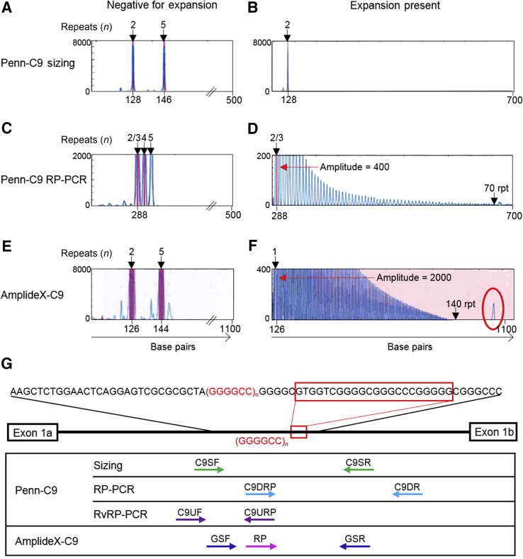 Figure 1