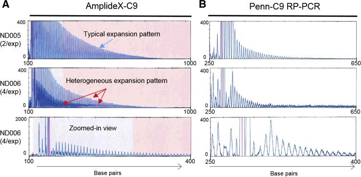 Figure 6