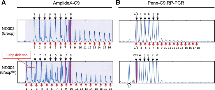 Figure 5