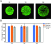 Fig 4