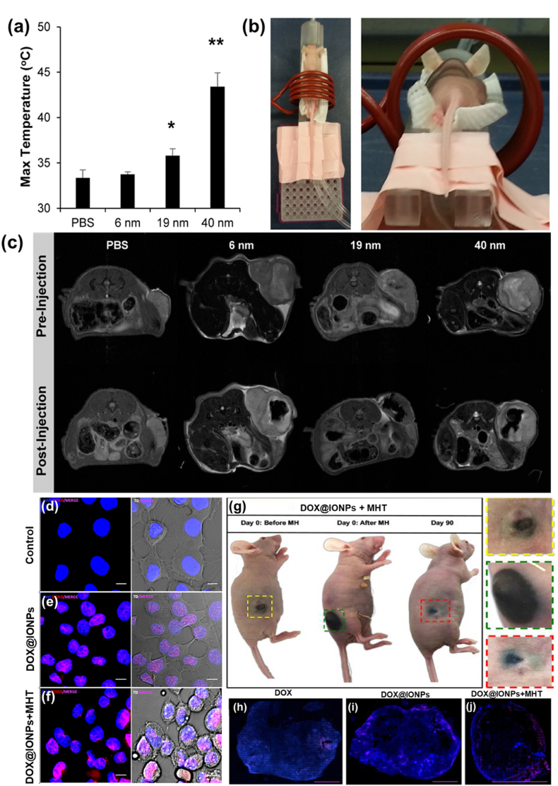 Fig. 12