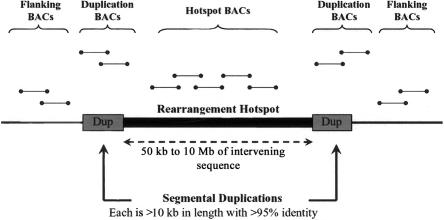 Figure  1