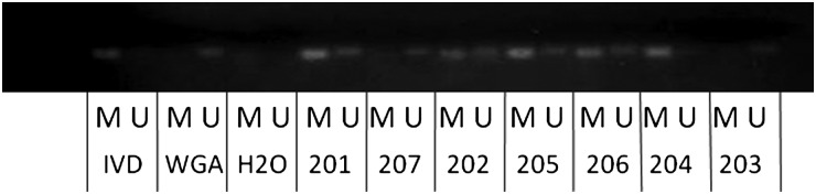 Fig. 4.