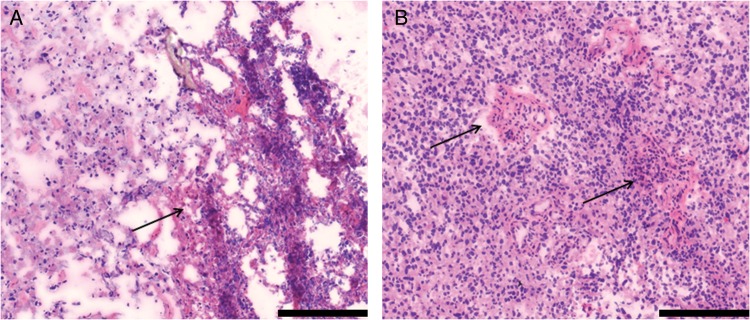 Fig. 1.