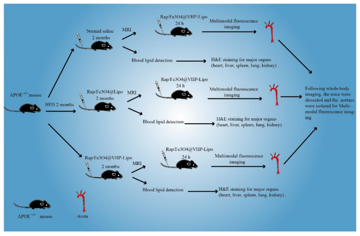 Scheme 2