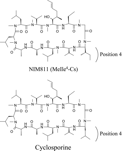 FIG. 1.