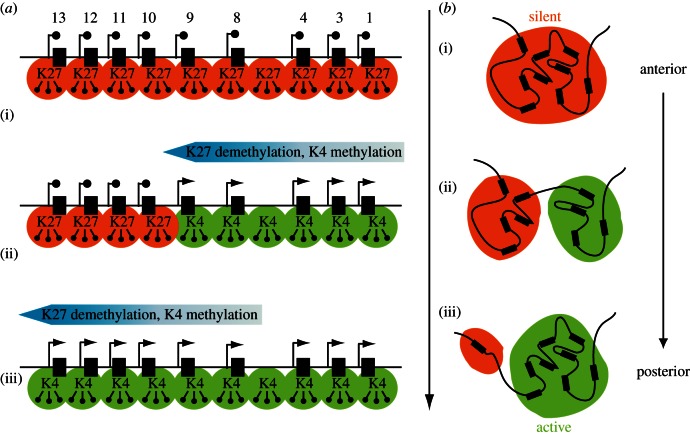 Figure 1.