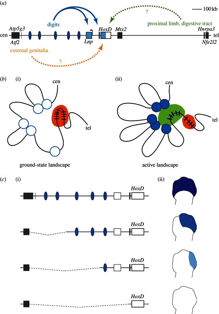 Figure 2.