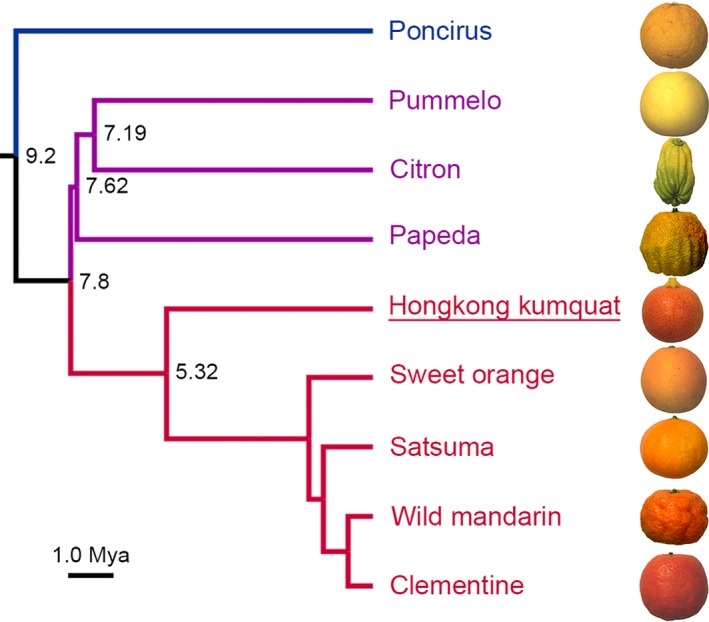 Figure 2