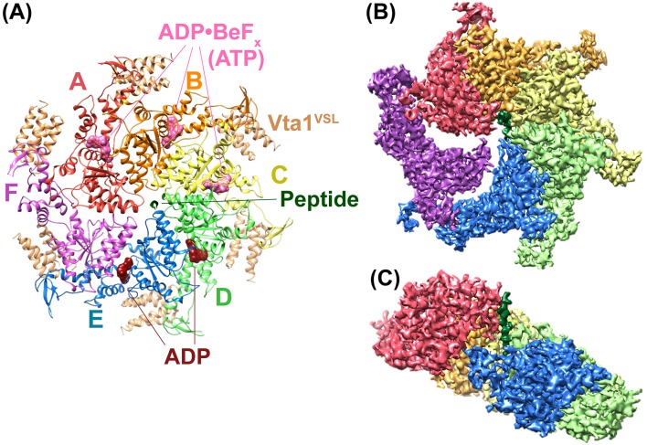 Figure 1.