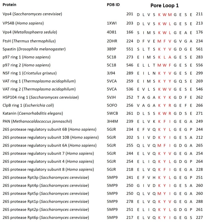 Figure 4—figure supplement 1.