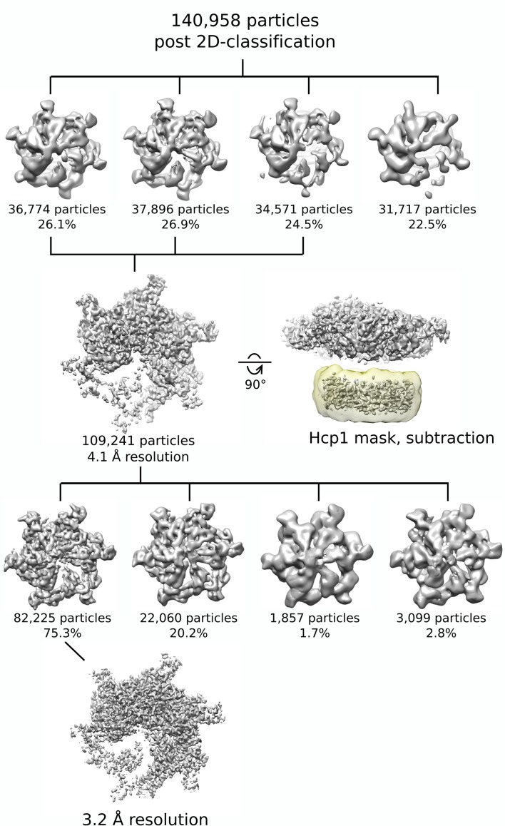 Figure 1—figure supplement 2.