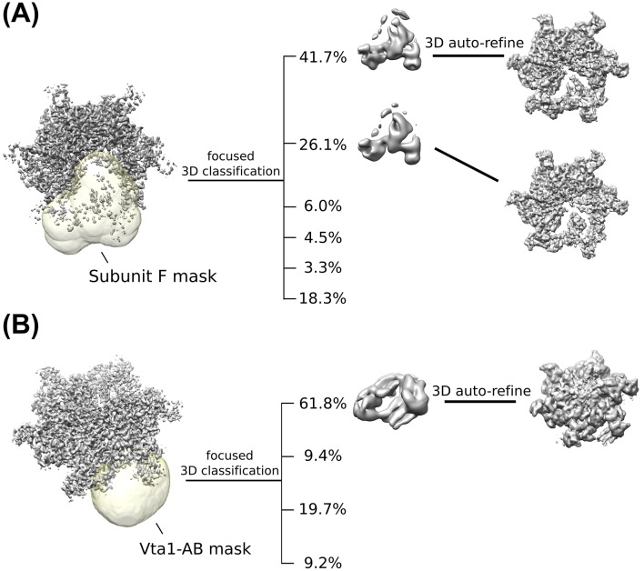 Figure 1—figure supplement 3.