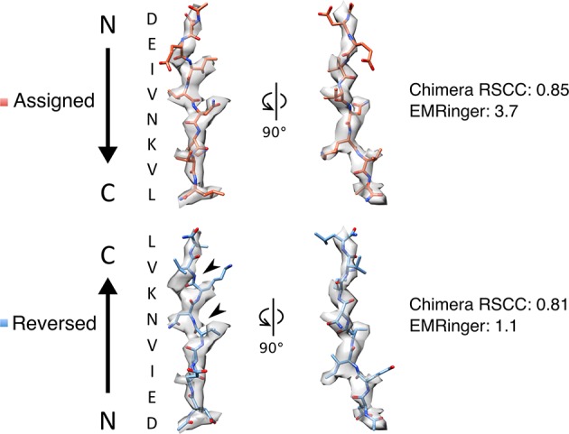 Figure 3—figure supplement 1.