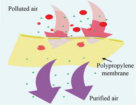 Fig. 3