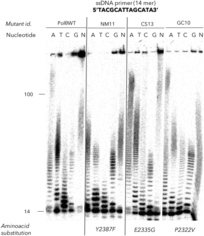 Figure 2.