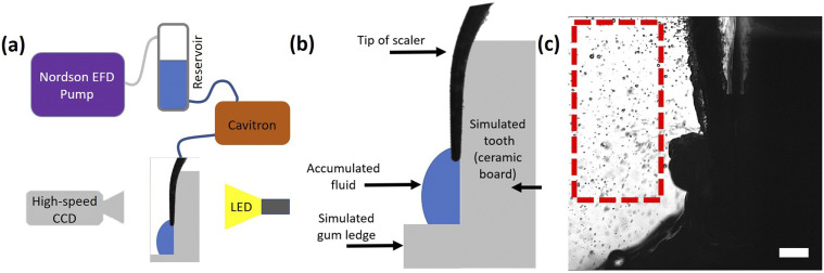 FIG. 2.