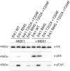 Figure 6