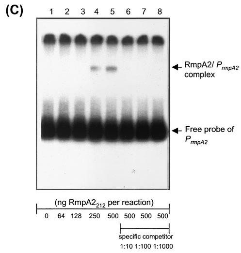 FIG. 5.