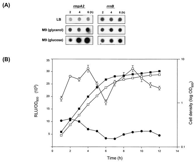 FIG. 7.