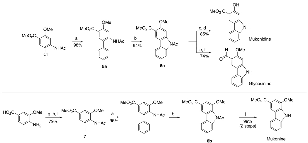 Scheme 4