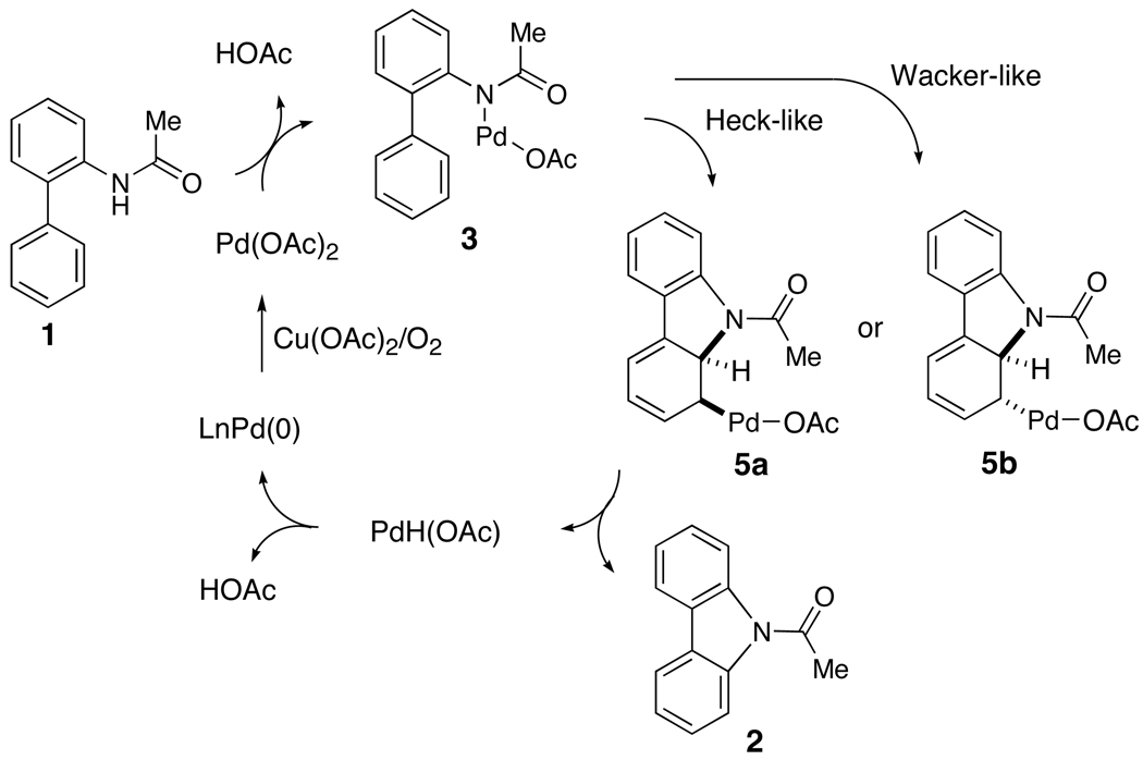 Scheme 3