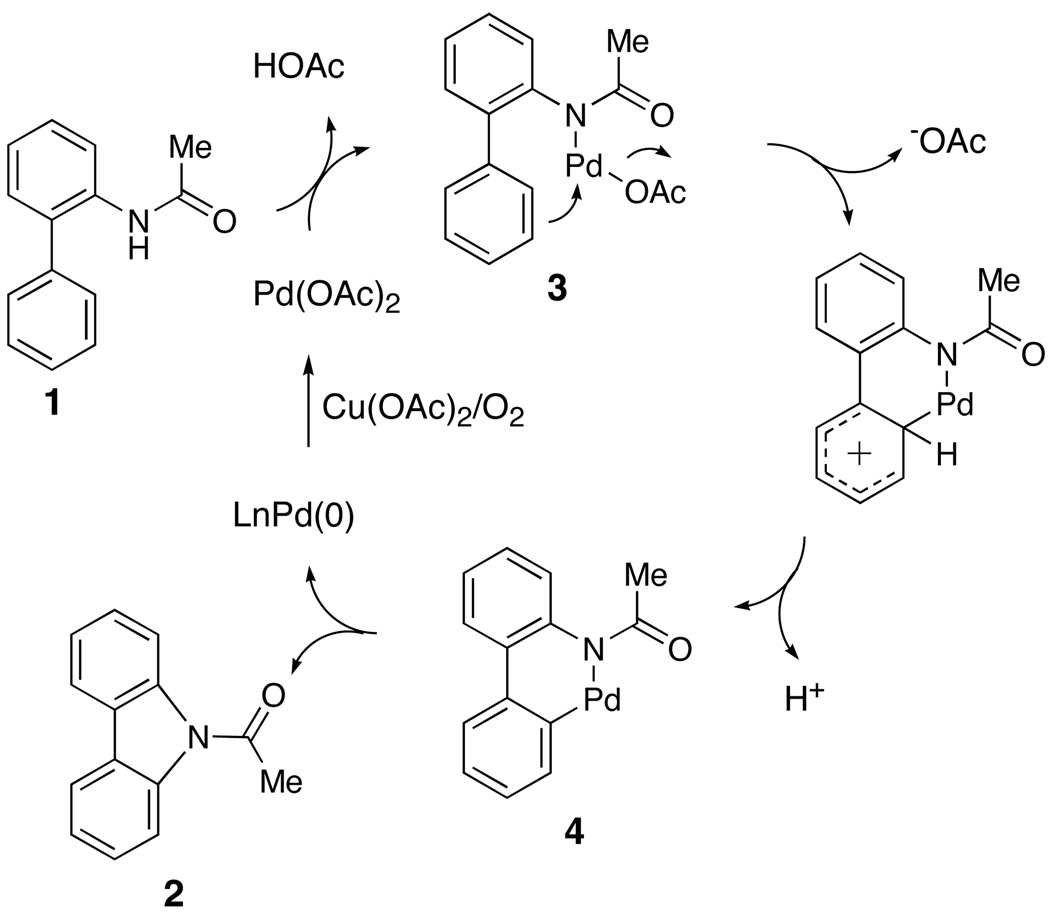 Scheme 2