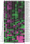 Figure 5.