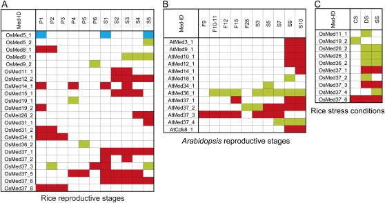 Figure 7.