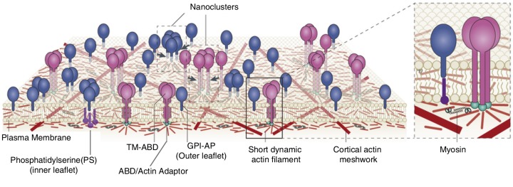 Fig. 7.