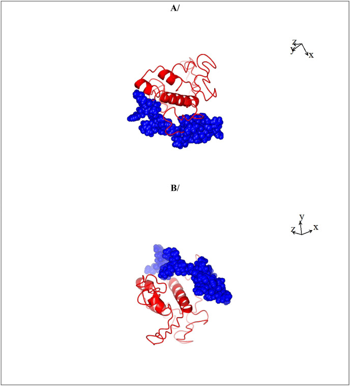 Fig. 2