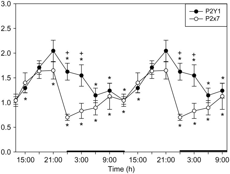 Fig. 3