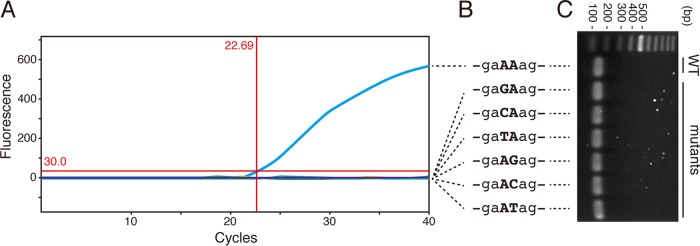 FIG 1