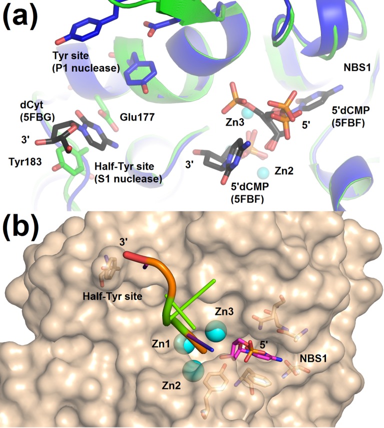 Fig 5