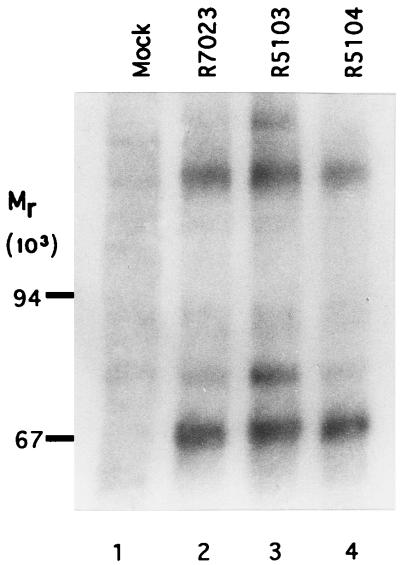 FIG. 4