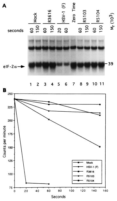 FIG. 5