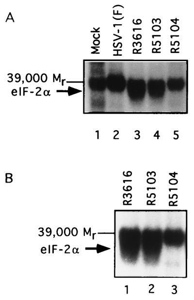 FIG. 6