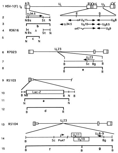 FIG. 1