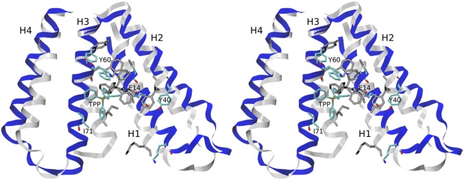 Fig. 4.