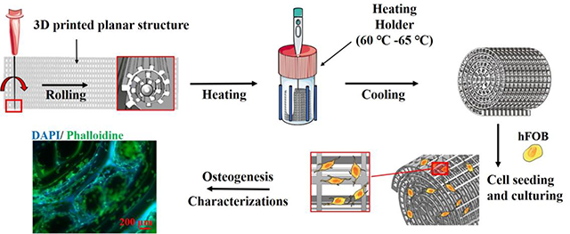 graphic file with name nihms-1638944-f0001.jpg